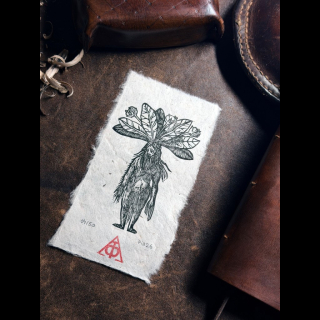 Mandragore - Homme - Kurtz Handbuchlein 1549
