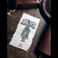 Mandragore - Homme - Kurtz Handbuchlein 1549