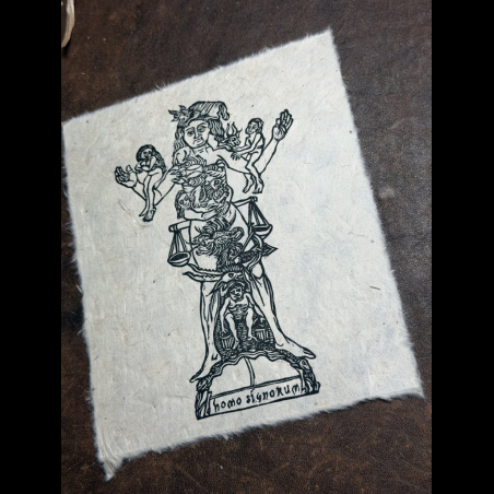 Homme Zodiac - Lokta 1