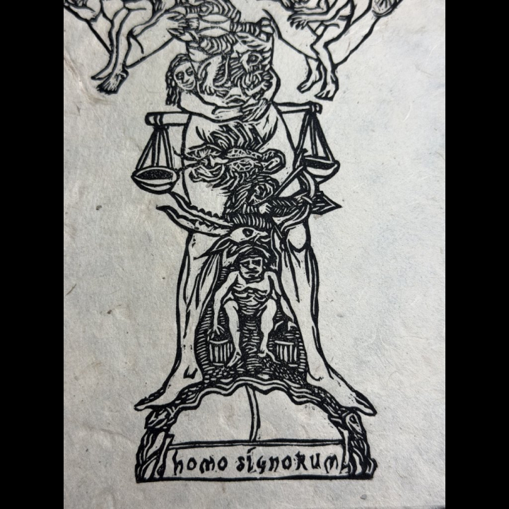 Détail de l'homme zodiacal 1