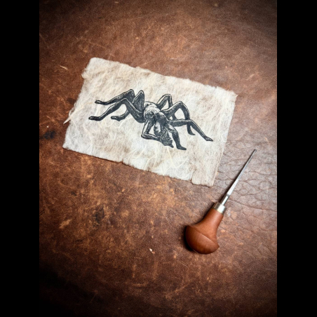estampe de Arachné sur papier vieilli