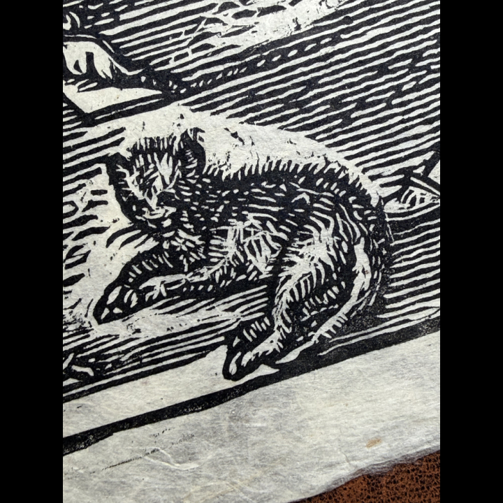 Brodeur - Jost Amman - 1468 - Le Chat