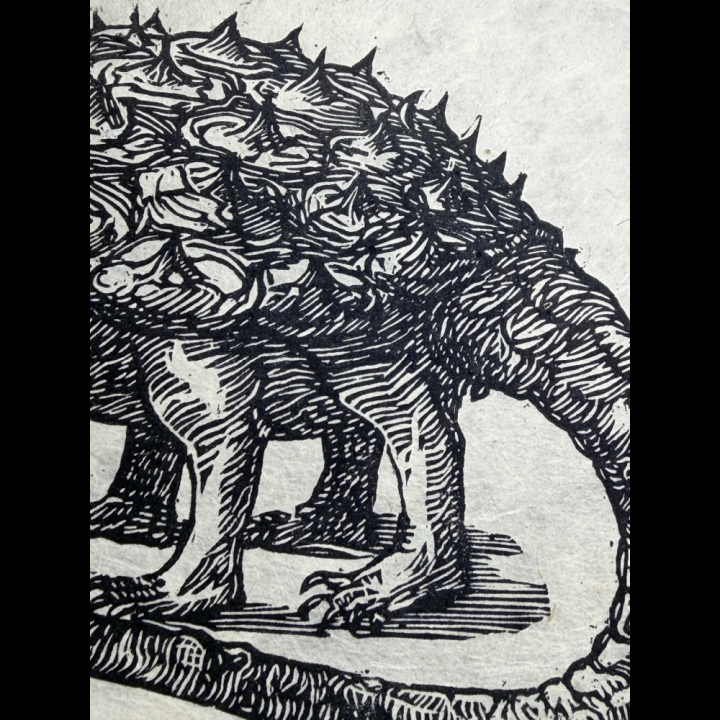 Tarasque de Sala - 1501 - Ombres