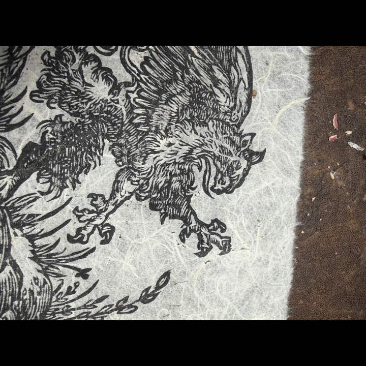 Estampe Griffon papier Murier détail