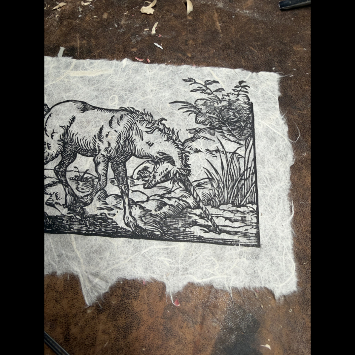 Estampe Licorne papier Murier détail